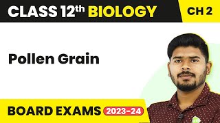 Pollen Grain  Sexual Reproduction in Flowering Plants  Class 12 Biology 202223 [upl. by Aizirtap]