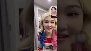 Harley Quinn Mistakenly Enters Video Chatting joker Harley Quinn joker [upl. by Yenaiv]