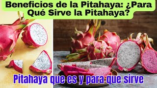 Pitahaya o Fruta del Dragon  Beneficios de la Pitahaya ¿Para Qué Sirve la Pitahaya [upl. by Norrat39]