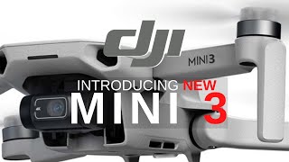 DJI Mini 3 and Why You Should Get Mini 3 [upl. by Daffi232]