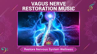 Vagus Nerve Restoration Music  Release Stress Discomfort  Restore Nervous System Wellness [upl. by Nomis]