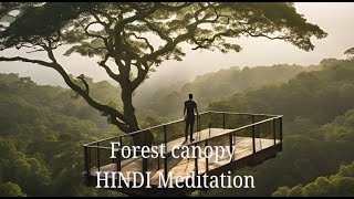 Forest Imagination  12 min  Hindi Meditation [upl. by Siurad]