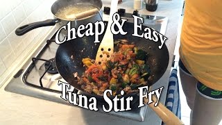 Easy amp Tasty Tuna Stir Fry  Meal Prep Recipe  1 [upl. by Atteloj709]