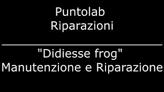 Frog Didiesse  Manutenzione quotcaffè Borbonequot [upl. by Nolram]