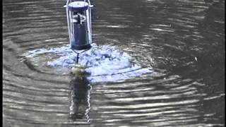 Collecting Water Quality Samples Using A Sampling Pole And A Dissolved Oxygen Samplerwmv [upl. by Burnaby]