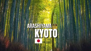 Kyoto Japan — Arashiyama Walking Tour【4K HDR】  Arashiyama Bamboo Forest [upl. by Karwan]