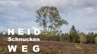 Heidschnuckenweg  Etappe 2 Buchholz – Handeloh  Wandern Lüneburger Heide [upl. by Toffey]