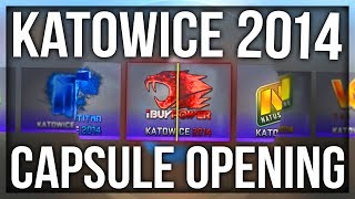 10x KATOWICE 2014 CAPSULE OPENING THE iBUYPOWER HOLO DREAM [upl. by Reinhard]