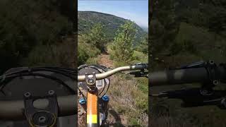 shorts 228  VTT MTB DH ENDURO RIDING [upl. by Merfe]