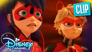 Strikeback  Miraculous Ladybug  disneychannel x Miraculous [upl. by Delos]