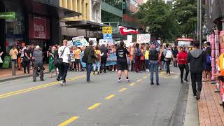 Wellington New Zealand  Student strike over climate change [upl. by Hartzke561]