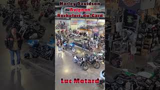 Harley Davidson Révison des 8000 Kms Avignon Luc Motard [upl. by Huttan]