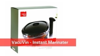 Vacu Vin Instant Marinater Review  Damn Good Reviews [upl. by Aceber123]