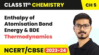 Class 11 chapter 7  Equilibrium  Ionic Equilibrium 01  Theories Of Acids and Bases JEE MAINSNEET [upl. by Lebazi89]