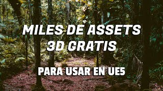 Miles de Assets Gratis para tus juegos en UE5 [upl. by Nnaeoj]