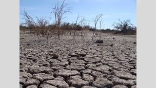 ¿Cuál es la causa de la desertificación [upl. by Ahsuoj]