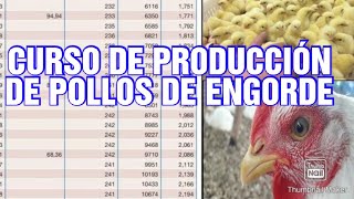 CURSO DE PRODUCCIÓN DE POLLOS DE CARNE 🍖 1 [upl. by Lockhart]