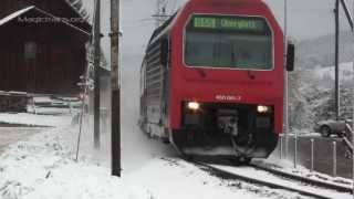 Züge im Schnee SBahn Niederweningen  Oberglatt [upl. by Ehc]