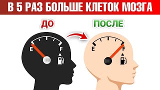 Как ускорить восстановление нервных клеток в 5 раз🔊 [upl. by Lynnea]