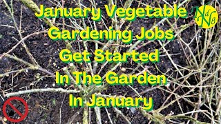 January Vegetable Gardening Jobs 2023 [upl. by Ahgiel]