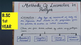 Methods of locomotion in Protozoa  Locomotion in Protozoa  AmoeboidCiliary FlagellarMetabolic [upl. by Mikel535]