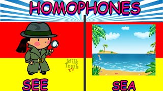 Homophones In English Grammer  Basic Homophones list for class 1 Kids [upl. by Rialb884]