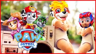 PAW Patrol amp Friends  Coffin Dance Song COVER [upl. by Atinyl]