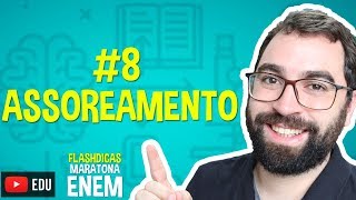 Assoreamento dos rios  Flashdica 8  Maratona ENEM  Prof Gui [upl. by Antonio]