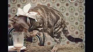 1906 Forgotten silent film of cat  Remastered and colorized [upl. by Swinton]