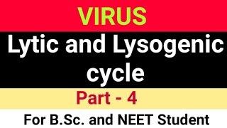 Lytic and Lysogenic cycle of Bacteriophage BSc 1st year virus topic lytic and lysogenic cy [upl. by Keisling]