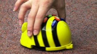 BeeBot® Programmable Floor Robot from TTS Group [upl. by Lovmilla]