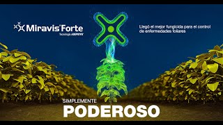 Miravis Forte  Fungicida Syngenta con amplio espectro de control [upl. by Drarig]