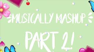 musically mashup  2 💗 [upl. by Amasa]