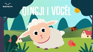 Qingji i Vogël  Këngë për Fëmijë  Bubrreci TV kengeperfemije [upl. by Terces]