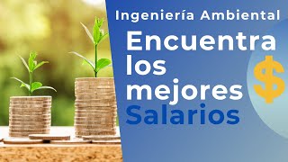 🤑Rentabilidad de la Ingeniería Ambiental 👷‍♀‍👷 ES MUY RENTABLE 🤑 [upl. by Yrellav787]