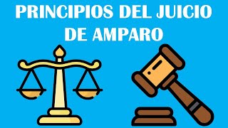 PRINCIPIOS DEL JUICIO DE AMPARO [upl. by Margarette]