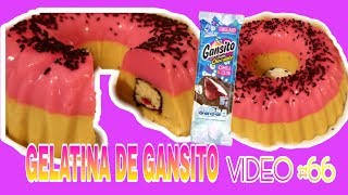 GELATINA DE GANSITO Fácil y rica 💖 [upl. by Anhsirk302]