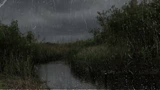 Heavy Rain amp Thunder  Rain sounds for Sleep  1 hour rain sounds for sleep [upl. by Nekal]