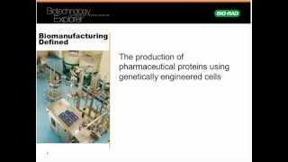 From industrial enzymes to cancer therapy  protein purification is essential [upl. by Loferski]