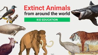 Lost Notable Extinct Animals from Around the World  Kid education video [upl. by Fiedling]