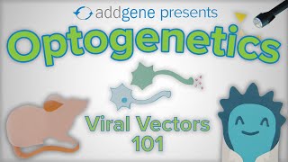 Optogenetics  Viral Vectors 101 [upl. by Eustace]