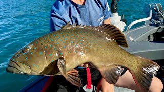 Melbourne to Airlie Beach camping and fishing [upl. by Malan941]