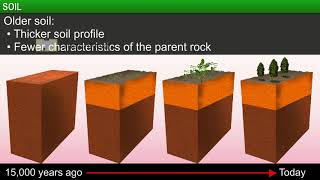 CBSE 8 Geography Land Soil Water Natural Vegetation and Wildlife Resources Soil [upl. by Aciretehs]