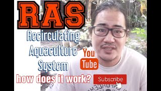 RAS RECIRCULATING AQUACULTURE SYSTEM  MY OWN RAS BUILD [upl. by Aldon]