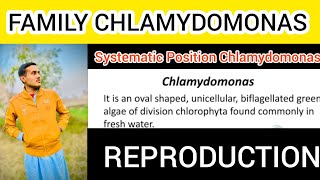 Chlamydomonas Family Distribution Reproduction of Chlamydomonas Family  Life Cycle [upl. by Anawik136]