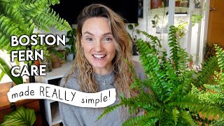 How To Stop Killing Your Boston Fern 🌿 EASY Tips To Make Your Ferns THRIVE [upl. by Yliram]