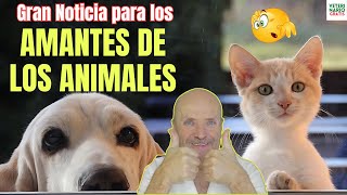 💖 ¡LOS AMANTES DE LOS ANIMALES ESTAN DE ENHORABUENA 💖 [upl. by Norag832]