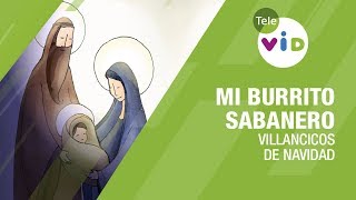 Mi Burrito Sabanero 🎧 Villancicos Tradicionales Colombianos  Tele VID [upl. by Irvin787]