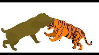 Smilodon VS TigerTigre dientes de sable VS TigreAnimation Pivot Animator JosueAnimation2012 [upl. by Charin]