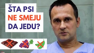 ŠTA PSI NE SMEJU DA JEDU  Veterinar Nikolašev [upl. by Lowis477]